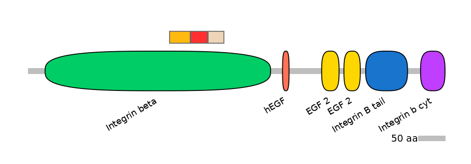 RnoEX6062255-INC