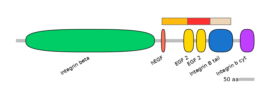 RnoEX6062257-INC