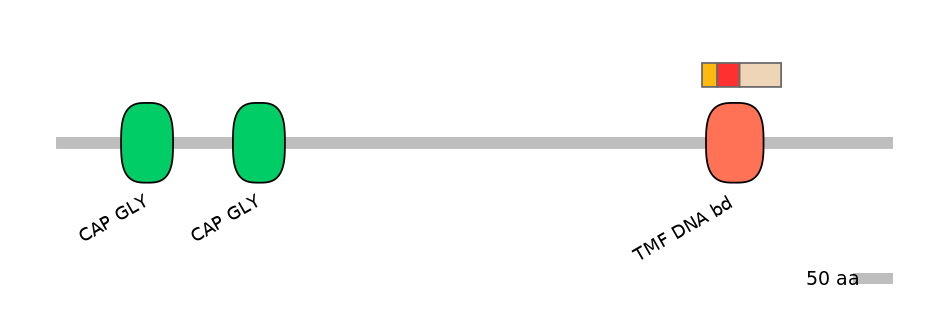 RnoEX6064062-INC