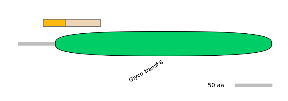 RnoINT0000090-EXC
