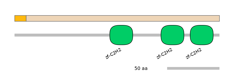 RnoINT0000338-EXC