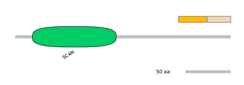 RnoINT0000341-EXC