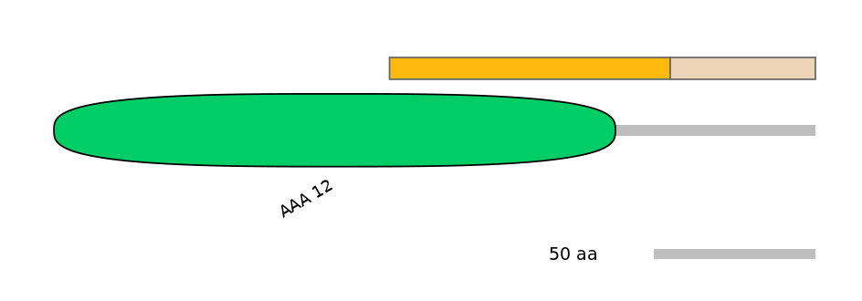 RnoINT0001579-EXC