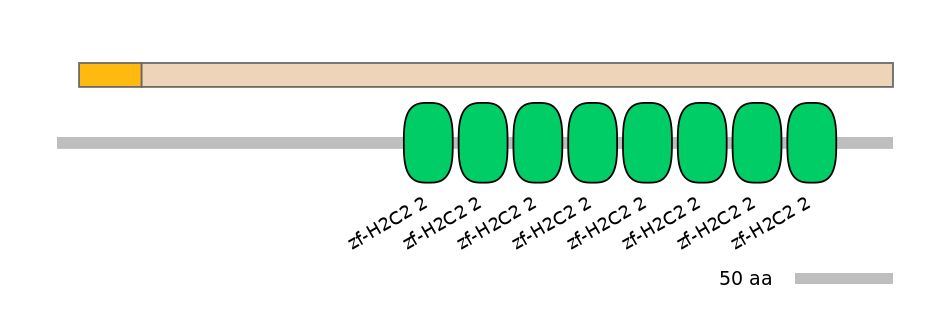 RnoINT0005501-EXC