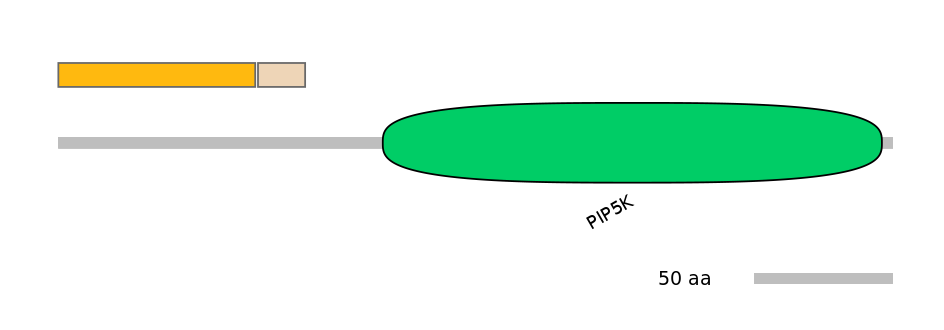 RnoINT0005608-EXC