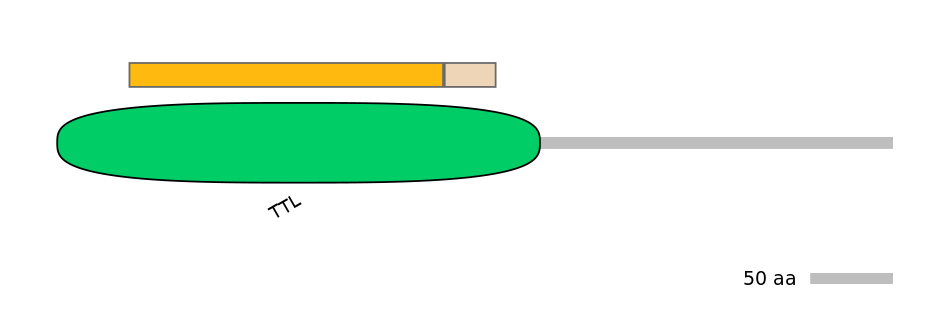 RnoINT0005628-EXC