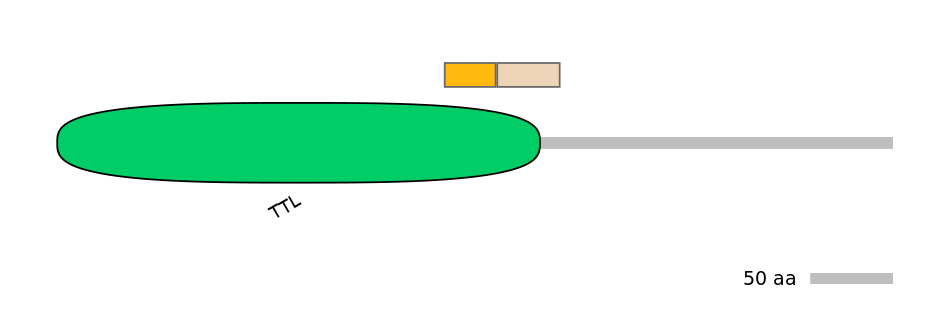 RnoINT0005629-EXC