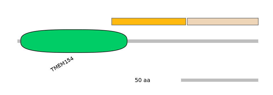 RnoINT0005668-EXC