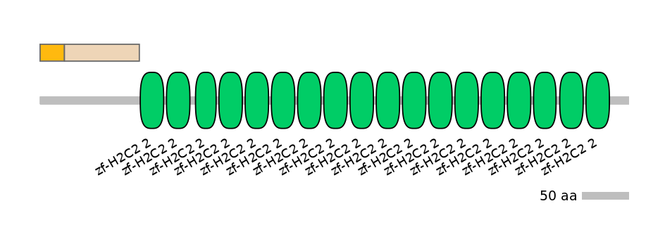 RnoINT0006194-EXC