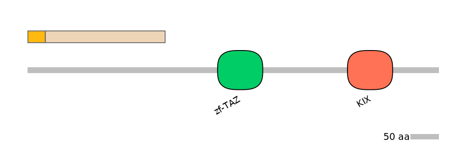 RnoINT0006534-EXC