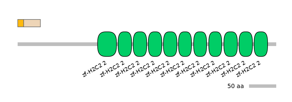 RnoINT0009060-EXC