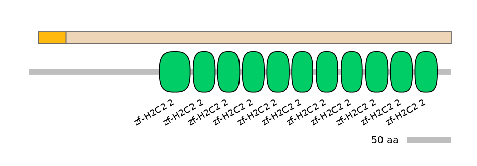 RnoINT0009061-EXC