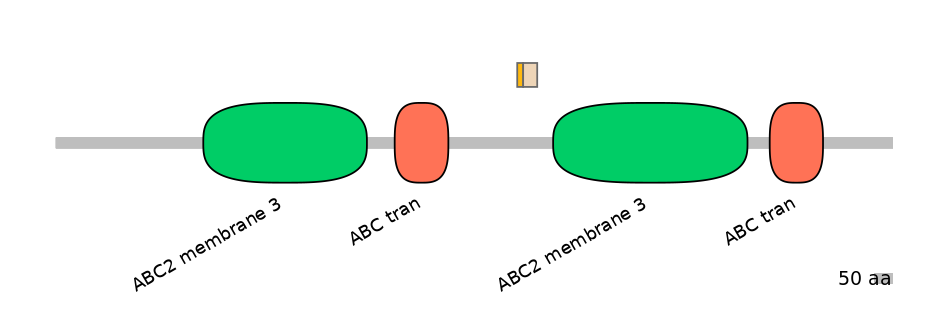 RnoINT0009961-EXC