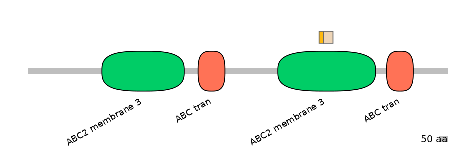 RnoINT0009971-EXC