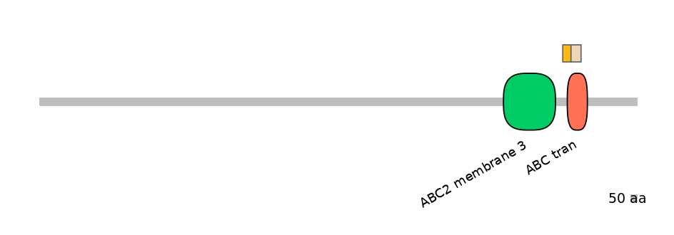 RnoINT0010040-EXC