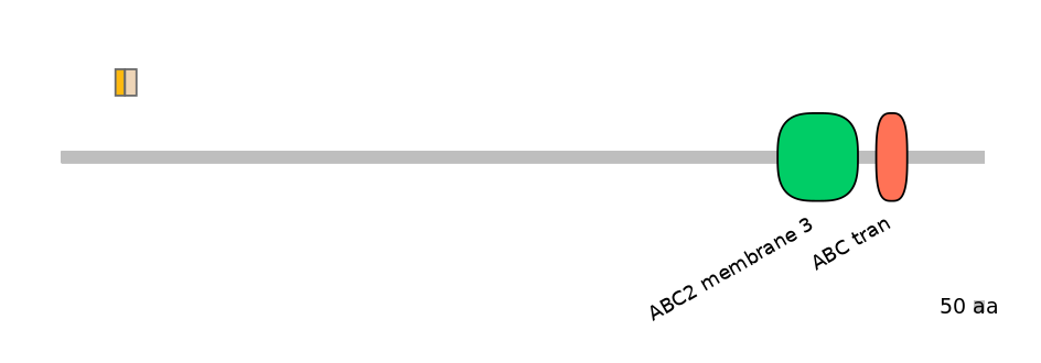 RnoINT0010053-EXC
