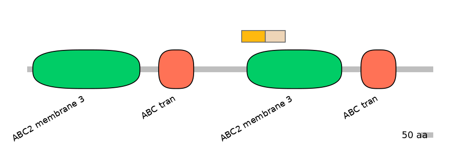 RnoINT0010096-EXC