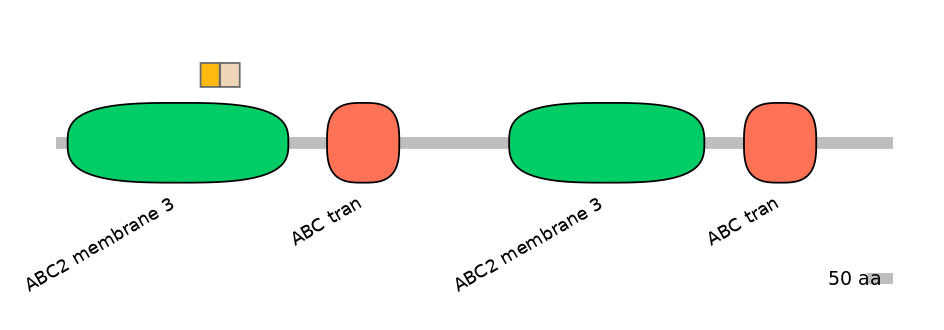 RnoINT0010113-EXC