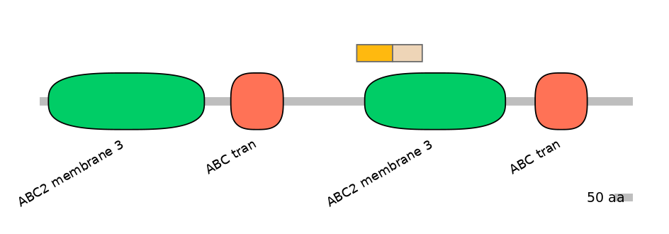 RnoINT0010125-EXC