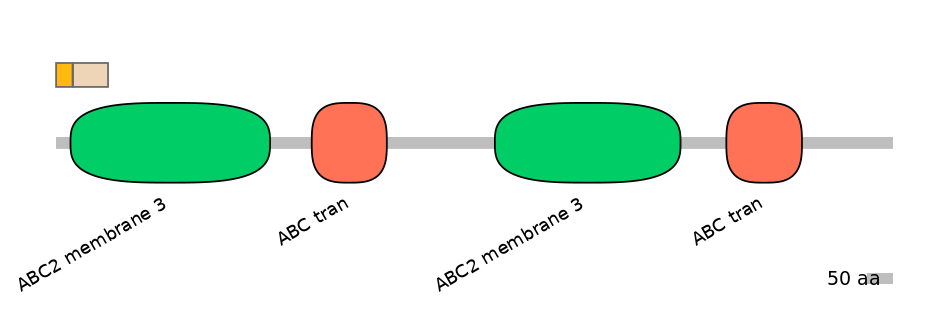 RnoINT0010313-EXC