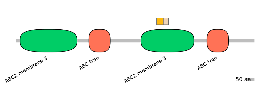 RnoINT0010326-EXC