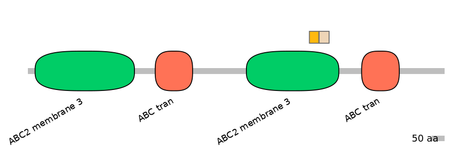 RnoINT0010329-EXC