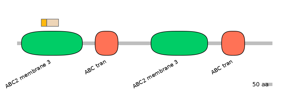 RnoINT0010344-EXC