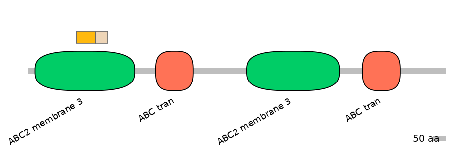 RnoINT0010345-EXC