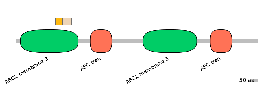 RnoINT0010346-EXC
