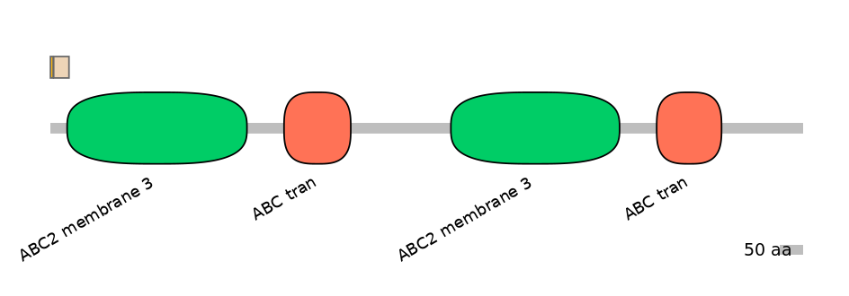 RnoINT0010435-EXC
