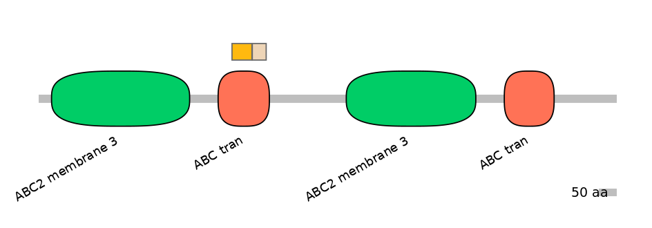 RnoINT0010439-EXC