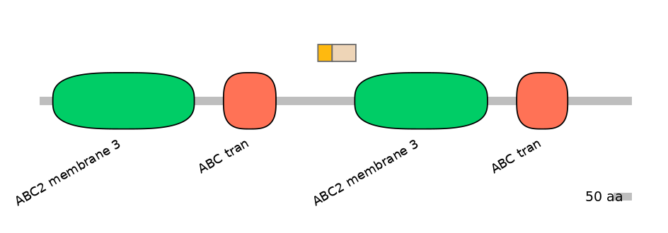 RnoINT0010444-EXC