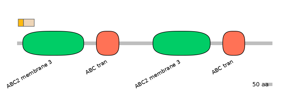 RnoINT0010446-EXC