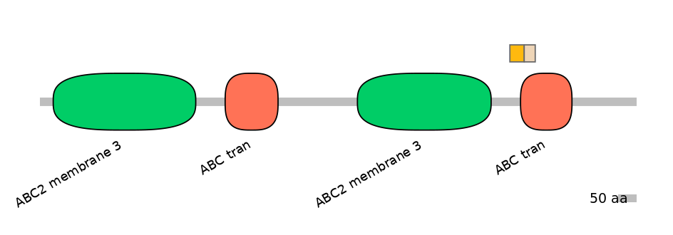 RnoINT0010458-EXC