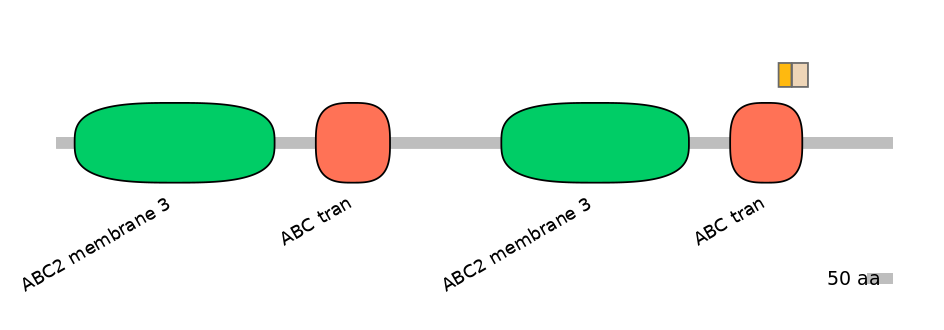 RnoINT0010461-EXC