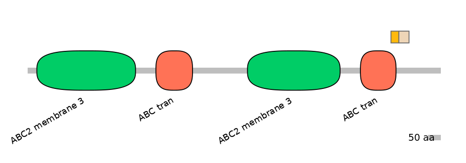 RnoINT0010462-EXC