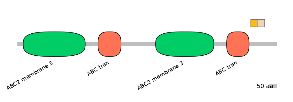 RnoINT0010463-EXC