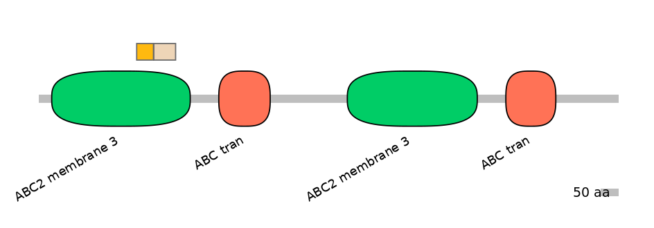 RnoINT0010470-EXC