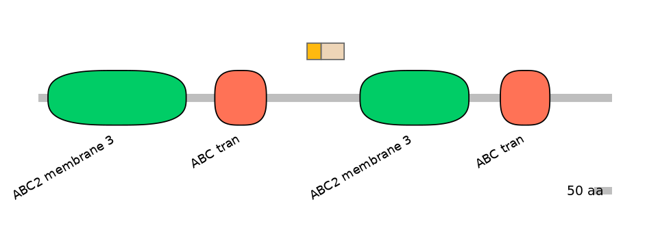 RnoINT0010481-EXC