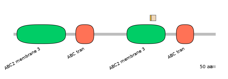 RnoINT0010490-EXC