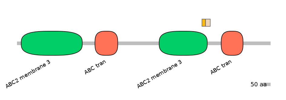 RnoINT0010493-EXC