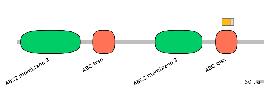 RnoINT0010499-EXC