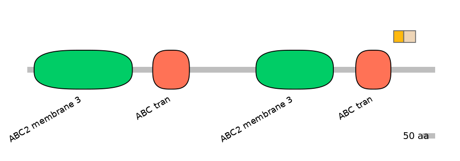 RnoINT0010502-EXC