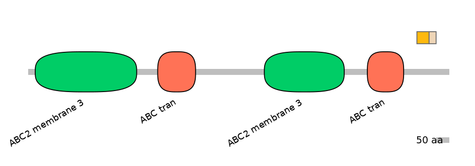 RnoINT0010503-EXC