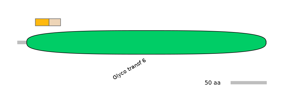 RnoINT0011412-EXC