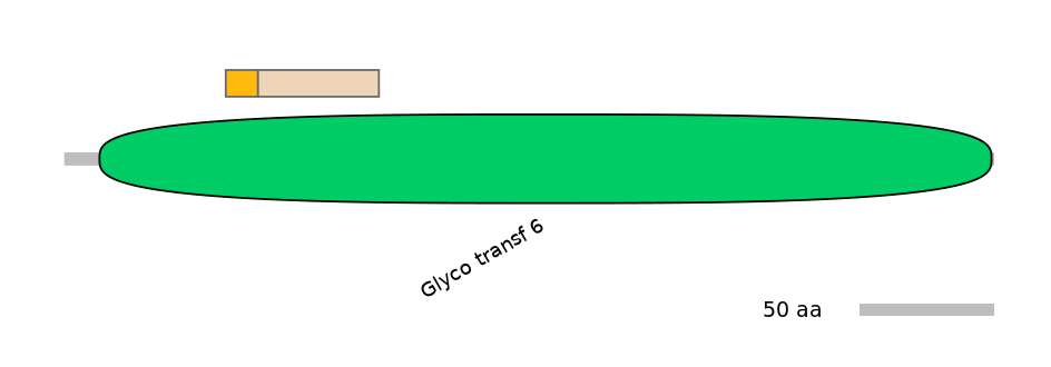 RnoINT0011414-EXC