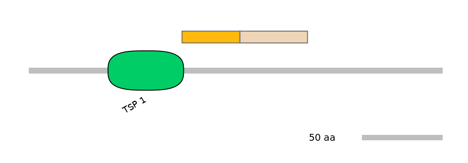 RnoINT0013689-EXC