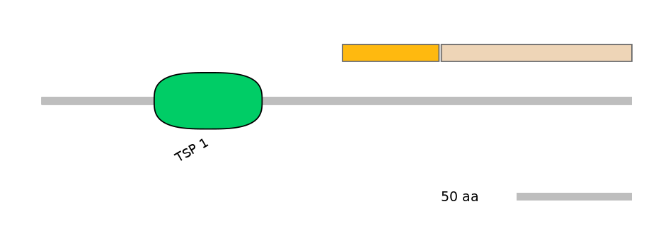 RnoINT0013690-EXC