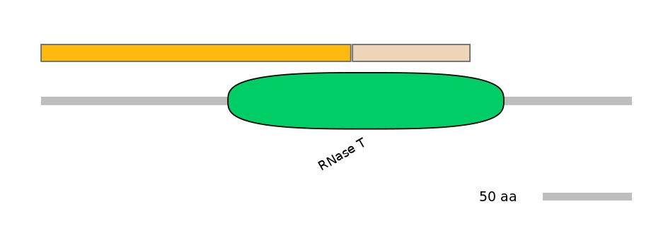 RnoINT0014675-EXC