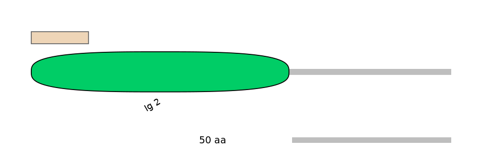 RnoINT0015051-INC